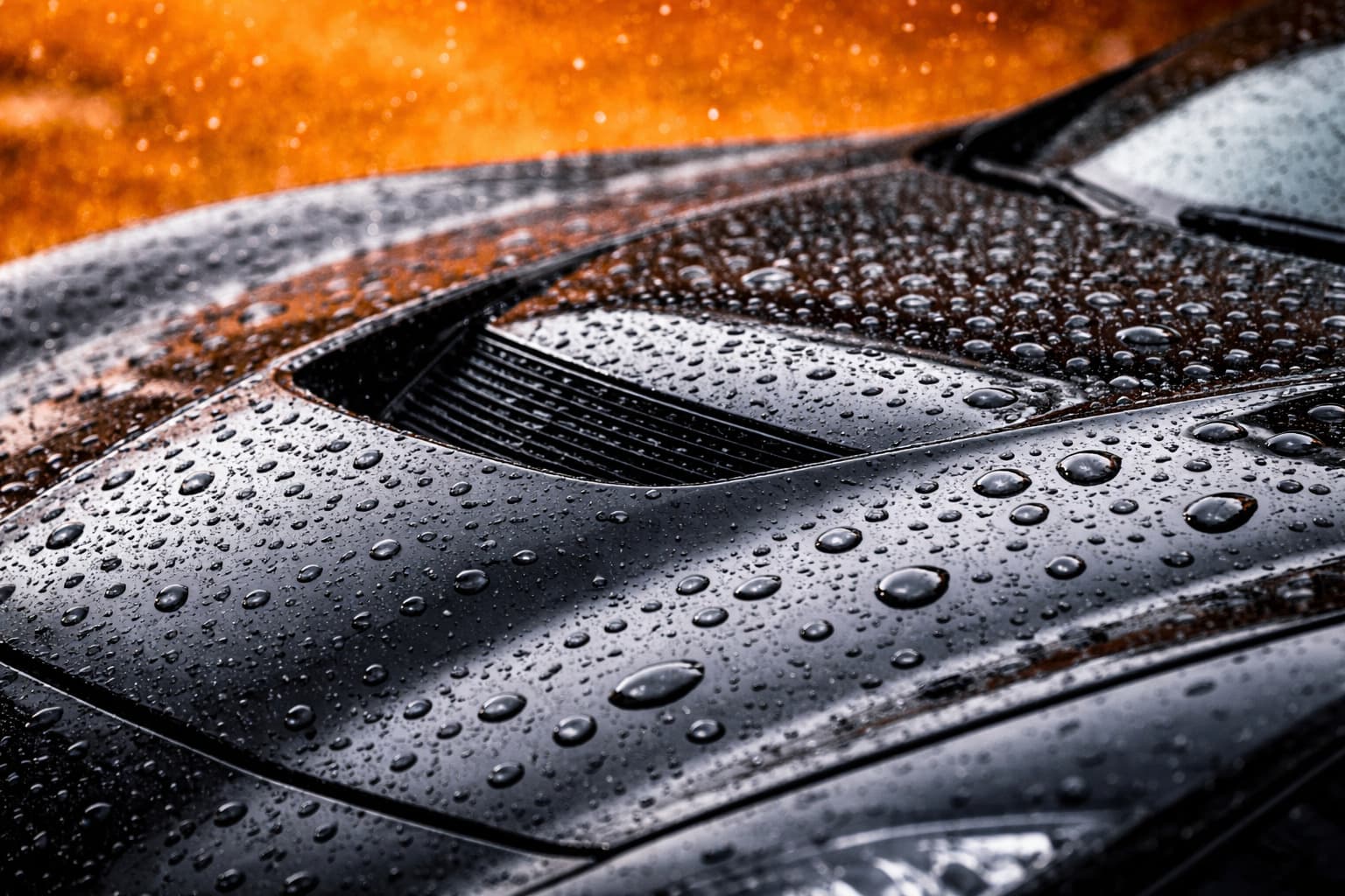 Water beading dramatically on a freshly ceramic-coated vehicle hood